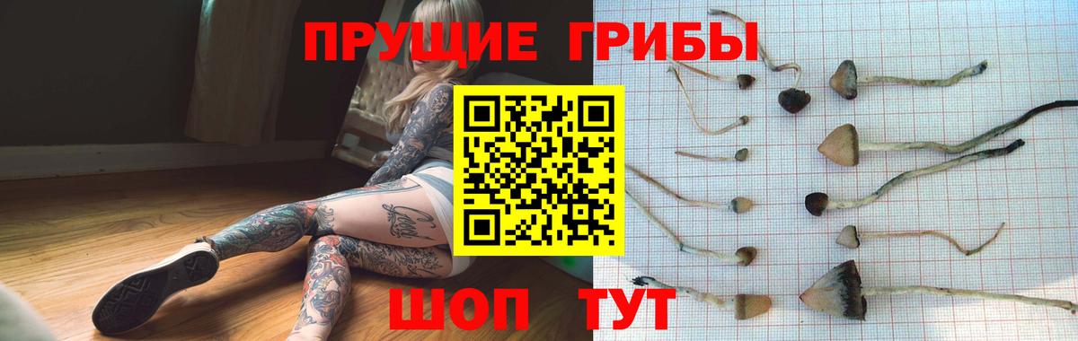 Галлюциногенные грибы MAGIC MUSHROOMS  Вход с VPN  Краснознаменск 